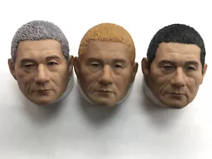 1/6 Scale Black Hair Kitano Takeshi Head Carving Sculpt Model Toys - Picture 1 of 2