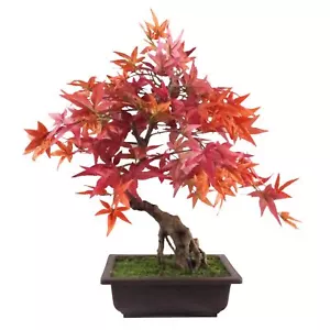 Árbol bonsái artificial arce rojo bonsái 50 cm diseño hoja árboles planta realista - Imagen 1 de 4