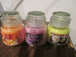 Three Mainstay Mini Candles All New Different Scents - Picture 1 of 9