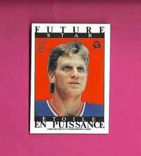 BRETT HULL  1988 O-PEE-CHEE FUTURE STARS STICKER (MARIO LEMIEUX ON REVERSE) #210