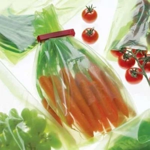 20 x Lakeland StayFresh Longer Vegetable Storage Bags, 28 x 46cm - Picture 1 of 5