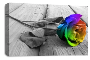 Floral Wall Art Rainbow Living Room Bedroom Framed Canvas Picture Ready to Hang - Picture 1 of 5