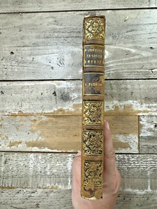 1828 Antique Exploration Book "Wanderings in South America" Illustrated - Picture 1 of 12