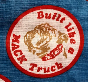  BUILT LIKE A MACK TRUCK print cinch top gym bag - Foto 1 di 4