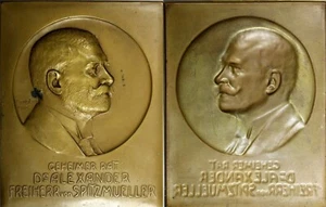 AUSTRIA Medal Plaque 1918 by H.Kautsch Alexander Spitzmüller Ministry of Finance - Picture 1 of 3