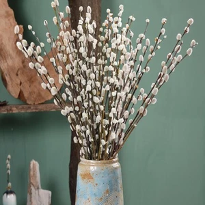 35 Steli 17"Veri Rami di Salice Figa Essiccati per Vaso,Natural PussyWillows con... - Foto 1 di 6