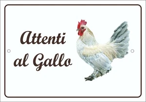 RAZZA POLLO SABELPOOT TARGA ATTENTI AL GALLO RESISTENTE ROBUSTA HPL PER ESTERNO - Imagen 1 de 1