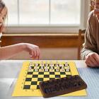 Chess Terracotta Premium Carving Chess Set for Gift Idea