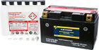 Fire Power Maintenance Free 12V Battery Ctz10s-Bs Yamaha Yzf R6s 06-09