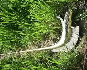 Handmade War Horn Replica Carnyx of Tintignac Deskford Playable Trumpet Celtic - Picture 1 of 5