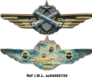 Breve Pilote Hélicoptère A.L.A.T,dos grenu doré,attache PINS, B By P GS 5 (1286) - Imagen 1 de 1