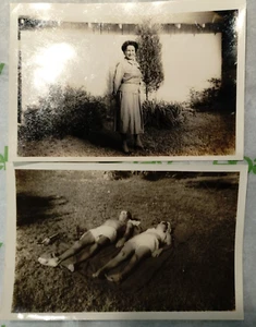 Vintage Black and White Photos from the 1940s Sunbathing & Posed f/the Camera - Picture 1 of 1