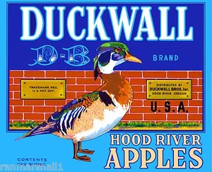 Hood River Oregon Duckwall Ente Apfel Äpfel Obstkiste Etikett Kunstdruck - Bild 1 von 1