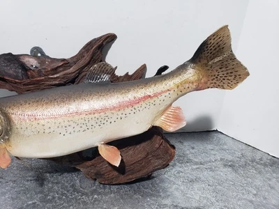 Trofeo de montaje de pez trucha arco iris piel real vintage taxidermia y madera a la deriva  Foto 1 de 4