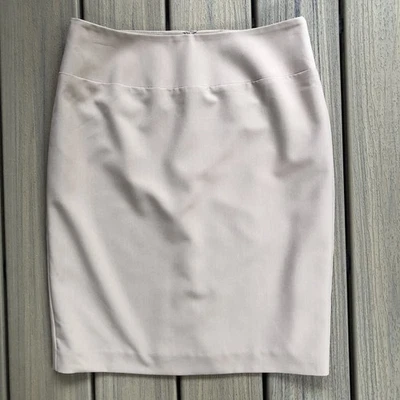 Falda lápiz color tostado Ellen Tracy talla 6 Foto 1 de 4