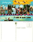 Minnesota Greetings Land of 10,000 Lakes Lighthouse Deer Trout Vintage Postcard