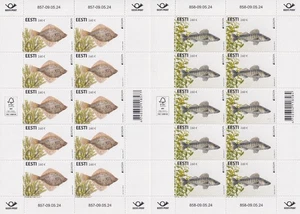 Estland Mi. 1104-05 Kleinbogen ** MNH Europa-Cept 2024 Fische Unterwasserfauna - Bild 1 von 1