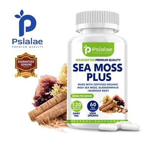 Sea Moss Plus 1400 mg - unterstützt die Verdauung, für Zellfunktion und allgemeine Gesundheit - Bild 1 von 12