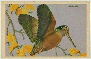 Woodcock - National Wildlife Federation Wildbird Postcard