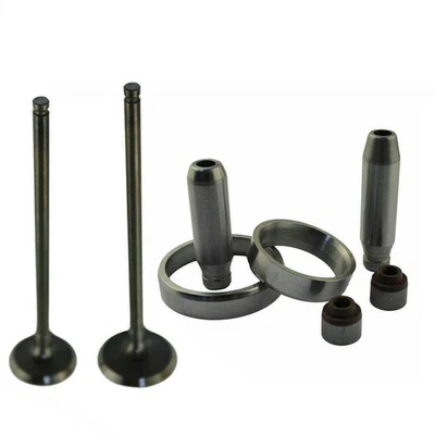 Para Kawasaki KXF250 KX250F 2004-2016/Kit de válvula de guía de vástago de válvula de escape de admisión Foto 1 de 4