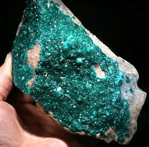 Large 7.25" Bright, Emerald Green Dioptase Crystals on Matrix, Congo! DP367 - Picture 1 of 8