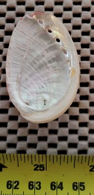 Real Seashell, small pink Abalone Dish Natural Sea Shell polished - Image 1 of 4