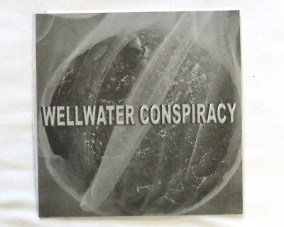 Wellwater Conspiracy 7'' Single Vinyl 1998 Soundgarden Monster Magnet Josh Homme - Image 1 of 3