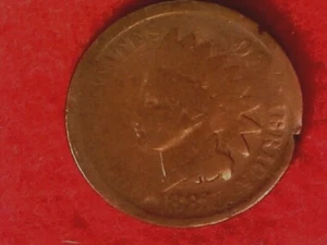 1881 Philadelphia mint Indian Head Penny #59 - Imagen 1 de 2