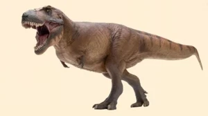 PNSO Tyrannosaurus Dinosaur 1/35 Limited Statue Figurines Collectible Art Models - Picture 1 of 6