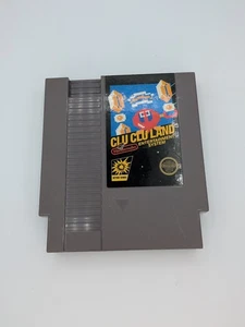 Clu Clu Land Original 5 screw Round Seal Variant (Nintendo NES, 1985) - Picture 1 of 4