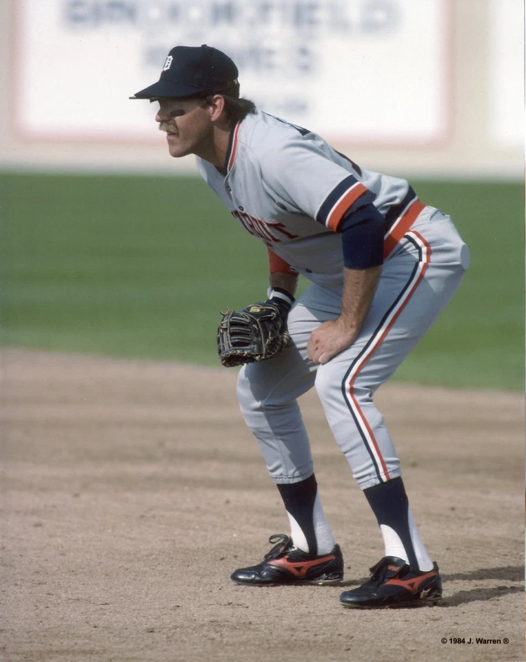 DAVE BERGMAN DETROIT TIGERS 8X10 PHOTO - Image 1 of 1