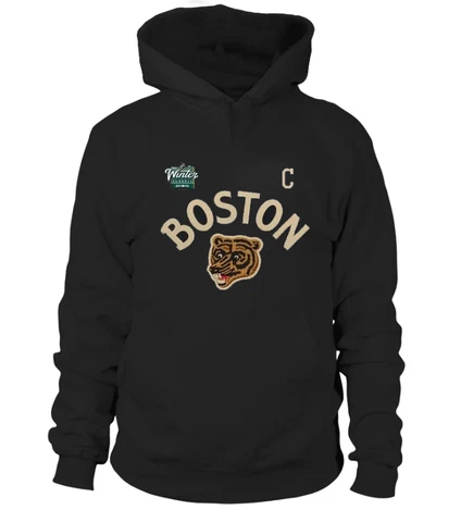Boston Bruins 2023 NHL Winter Classic Hoodie Gift For Fans Cover