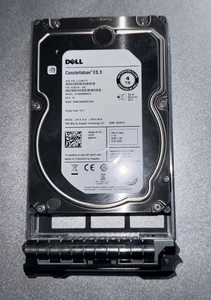 Dell 4TB SAS Enterprise HDD Constellation ES3 7200rpm Dual-Port 6 Gb/s + Rahmen - Bild 1 von 2