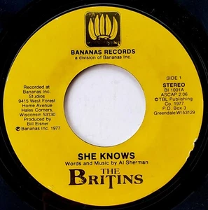 The Britins 45 She Knows - Rare 1977 Wisconsin Private Power Pop - HEAR - Imagen 1 de 2