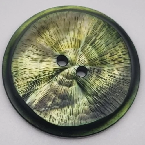 Grüner Perlmutt 2-Loch-Knopf 25-38 mm Ziseliert / Mother-of-Pearl Button MOP E78 - Bild 1 von 2