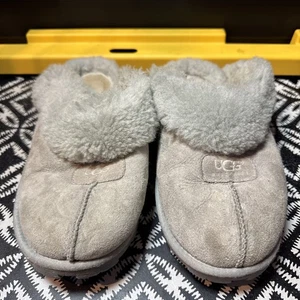 Zapatillas para mujer UGG COQUETTE FORRADAS DE PIEL DE OVEJA EE. UU. 9 colores bahía niebla - Imagen 1 de 13