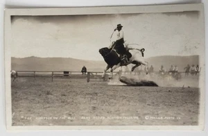 Cartolina fotografica reale Anderson sul toro, rodeo degli alci del 1910 - Foto 1 di 2