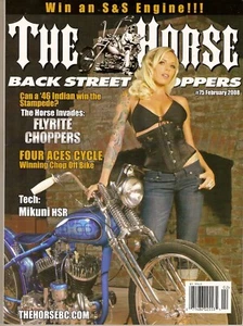 THE HORSE BACK STREET CHOPPERS! HOT!~GET MORE OF WHAT YOU'RE LOOKING FOR! - Picture 1 of 3