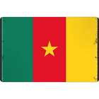 Blechschild Wandschild 30x40 cm Kamerun Fahne Flagge Geschenk Deko