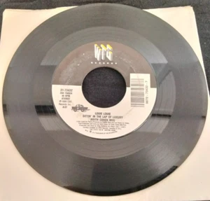 LOUIE LOUIE - SITTIN' IN THE LAP OF LUXURY WTG RECORDS 7" VINYL SINGLE 45 RPM - Foto 1 di 3