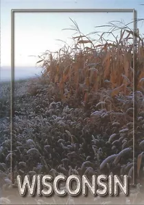 Postkarte WI Wisconsin Frosty Cornfield im Herbst postfrisch - Bild 1 von 1