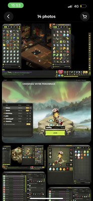 Compte Dofus Retro Sur Serveur Boune - Compte De Jeu MMORPG PC - Neuf (non Utilisé)