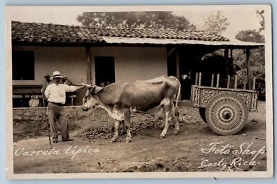 Коста-Рика открытка Buffalo Bull перевозки 1944 винтажный опубликованный RPPC фото - Изображение 1 из 2