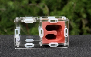 Nuevo Nido de Hormiga Reina Nido de Yeso Vivienda de Agua Granja Formicarium Área de Alimentación 竖巢 - Imagen 1 de 3