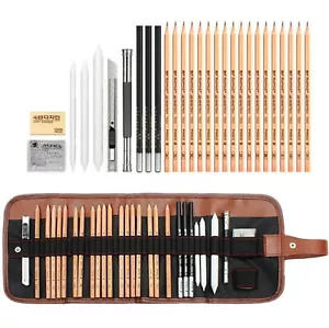 29PCS Professional Drawing Artist Kit Set Pencils And Sketch Charcoal Art Tools - Picture 1 of 11