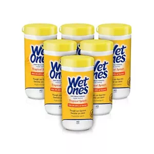 Tropical Splash Antibacterial Hand Wipes, 40ct Canister (Pack of 6) - Picture 1 of 7