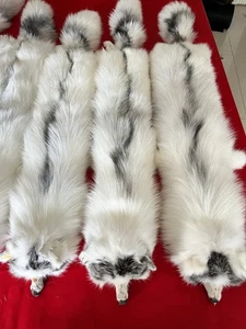 One Pc Women Whole Pelt Real Cross Fox Fur Shawl Scarf Cape Wrap Cosplay Collar - Picture 1 of 17