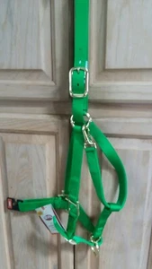 WEAVER ADJUSTABLE Large HORSE HALTER 1" YEARLING Draft HORSE Emeral Green - Picture 1 of 3