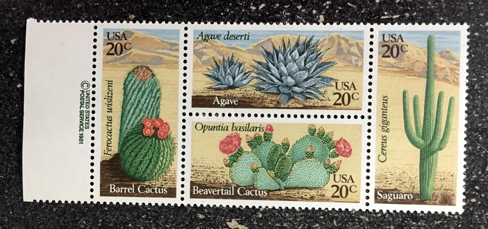 1981USA 20c #1942-1945 Desert Plants - Copyright Block of 4 Mint NH  cactus - Image 1 of 1