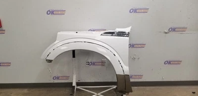 11 FORD F250 SD FENDER ASSEMBLY FRONT LEFT DRIVER WHITE GOLD Foto 1 de 4